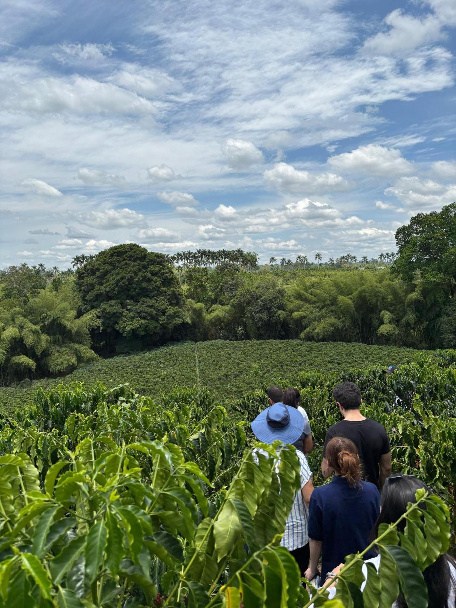 Hacienda Bambusa El Caimo エクステリア 写真